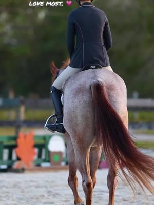 my roany 💗  #rangeisgoodtokno #rideforchrome #equestriansoftiktok #dreamlandfarmsfl #aqha #hearthorse 