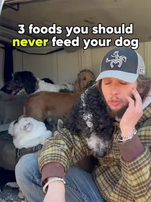 3 foods you should never feed ❌ #dog #DogTraining #dogpsychology #dogbehavior #doglover #doghealth #dognutritionist #holisticdog #holistichealth #herbs #dogfood #rawfeddog #fyp