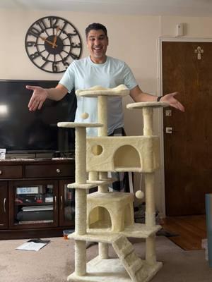 Cat Tree Tower  #pettrove #pettrovecattree #cattree #cattower #cattowerbuild #cattowerreview #cattrees #cathome #cathouse #treehouse #cattreehouse #cat #catsoftiktok #cats #catlover #catsdoingthings #catparents #catparents #parnets #petparent #catmom #catmomlife #catlover #cattok #catcare #petmoms #petmom #petmomsoftiktok #pethome #pets #PetsOfTikTok #petlover #play #fun #winterfinds  #TikTokMadeMeBuyIt #ttsbeautybesties  #TikTokShopYearEndSale #TikTokShopHolidayHaul 