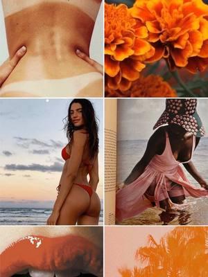 blush, hibiscus, poppy, marigold, Tropic mood. 🌺🌸🌼 #tropicofc #ecofriendly #swimwear #bikini #tropicofcgirls #styleinspo #newyear 