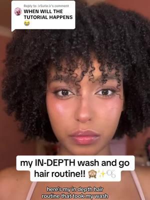 Replying to @✰Surie✰ yes finally shes here 😋🤲🏽 my in depth detailed wash and go routine! my curls stay super defined, they last the whole week, AND they stay super elongated (minimizing shrinkage and knots) i hope this helps 💗💗 #naturalhair #naturalhaircare #washandgo #naturalhairtiktok #naturalhairstyles 