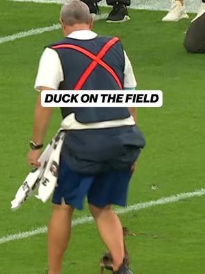 Ducks fly together #nfl #nfltiktok #nflfunny