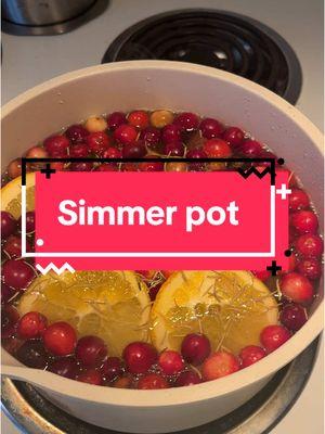 Great for gloomy day at home #creatorsearchinsights #Home #lifeathome #simplelife #backtothebasics #simmerpot 