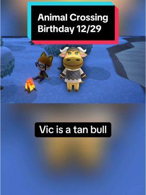 In Animal Crossing on December 29th, it’s Vic and Murphy’s birthday! Happy birthday Vic and Murphy! #animalcrossing #animalcrossingnewhorizons #animalcrossingswitch #switch #nintendo #nintendoswitch #switch2 #animalcrossingbirthday #December29th #December29 #Vic #Murphy #animalcrossingVic #animalcrossingMurphy #Vicanimalcrossing #Murphyanimalcrossing #acVic #acMurphy #Vicac #Murphyac #funfacts #didyouknow #animalfunfacts #bull #bulls #bear #bears #cute #cuteanimals #gaming #GamingOnTikTok #gamingonyoutube #birthday #happybirthday #cozygames #cozygaming #cozygamer