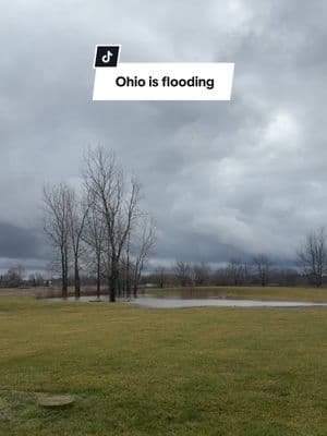 Aye something interesting for once #flood #ohio #flooding #pond #imbored #entertainme 