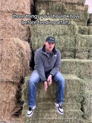 3 things to know before feeding your horse alfalfa! #horsenutrition #alfalfaforhorses #horseowner #horsetips 