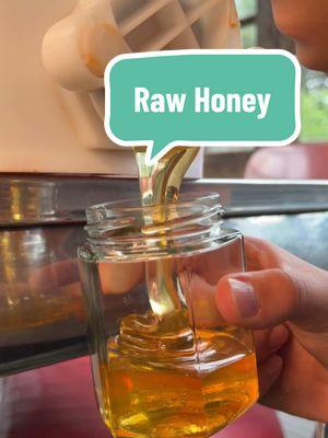 Pure & Raw Honey #beekeeping #beekeeper #rawhoney #bees #honey #honeyharvest 