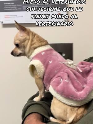 Ella y el veterinario 🤣🤣🤣🤣 #cubanosporelmundo #fyp #cubanos #cubana #cuba #fypシ #cubanas #comedia #pet #mascotas #chihuahua #chihuahuastiktok #vet #veterinario 