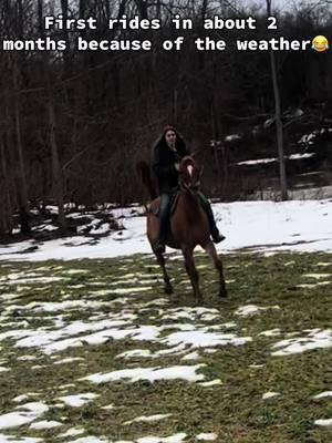 @Syd🤠🎀 rode the crap out of Rusty🤣 I wish we would’ve got his big bucks on video we only got the little ones tho😂 surprisingly Vegas was better and he’s green broke😂 #horses #fun #funny #bucking #itsabouttogetwestern #ride