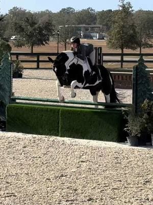 This matches perfectly, lead change and all 🤣 #fyp #foryou #fypage #equestrian #horsetok #horseshow #horsebackriding #WECocala #hunterjumper #AOhunters 