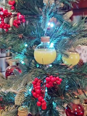 #mimosatree #mimosatime #christmas #christmas2024 