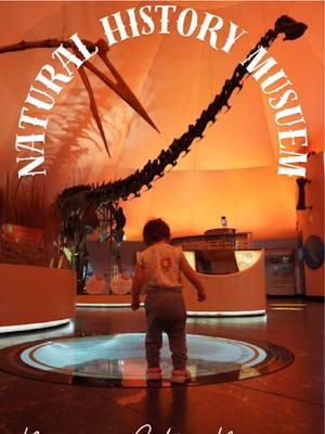 Visit the Natural History Museum in CDMX with us #visitmexico #travelwithtoddlers #familytravel 