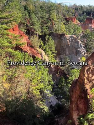 #providencecanyon #georgia @brad 