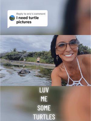 Replying to @eric #turtle #islandgurl #alaskangurl #bigisland #hawaii #ocean #life #unapologetic #me #newworld #HealingJourney #welcometomyworld #fypシ゚viral 