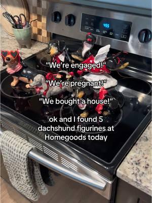 Iykyk #dachshundhunt @HomeGoods #dachshund #dachshundsoftiktok #minidachshund #minidachshundsoftiktok #sausagedog #weenidog #wienerdog 