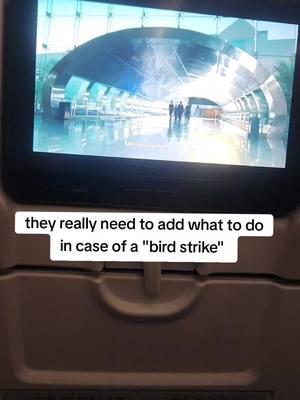 Delayed flights allll day 😪  Gotta watch out for them "birds"  #airplane #planecrash #birdstrike 