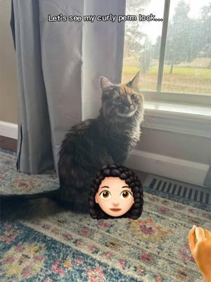 What. The. Heck 😂😂😂 #aifilter #cat #catfilter #perm #curlyhair #fyp #foryoupage 