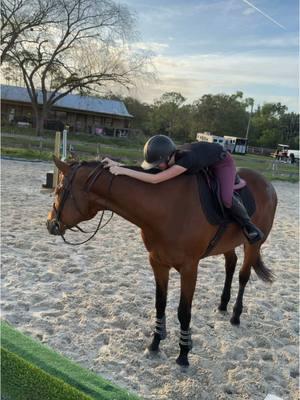 sign us up for acting  @brooke🪼 @Jacqulyn 🤗 @Jayden @aubsnbean  #dreamlandfarmsfl #rideforchrome #equestriansoftiktok #aqha 