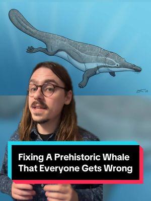 Always do your research, kids! #greenscreen #fyp #foryoupage #paleoart #paleoartist #paleontology #prehistoric #fossil #evolution #whale #whales #cetacean #protocetus #protocetid #archaeocete #whaleevolution #eocene #egypt #science #scicomm #sciencetok 