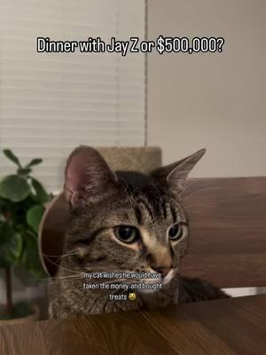 $500K can buy a lot of treats 🤨 #funnycatsoftiktok #funnycatvideos #catoftheday #cats #video #animecat #greytabby #tabbycat #cattok 