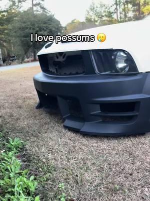 2nd bumper down finna start a gofund me 🥲 #fyp #viralvideo #carsoftiktok #mustang #trending #crowdkilla #possums #bumper 