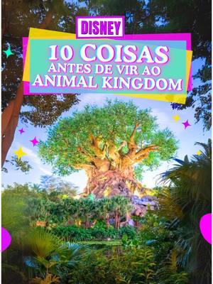 10 coisas que eu queria saber antes de ir ao Disney’s Animal Kingdom pela primeira vez! O Animal Kingdom é um parque da Disney absolutamente RICO em segredos, detalhes e coisas divertidas pra fazer. Infelizmente muita gente não aproveita esse parque como poderia, por falta de conhecimento. VIM TE CONTAR COISAS IMPERDÍVEIS NO ANIMAL KINGDOM DA DISNEY, pra sua viagem perfeita! Se você está planejando sua viagem pra Orlando, por favor nem pense em deixar o Animal Kingdom fora do seu roteiro! Aqui em casa, esse é o parque favorito da minha meNina de 6 anos! Mas todos nós somos apaixonados! Além disso: - Não perca o show das araras, ele acontece várias vezes durante o dia, exatamente em frente à árvore da Vida. Não tem um horário exato - afinal, segundo a Disney, a natureza é imprevisível, - mas acontece um monte de vezes. - O Trem que contei no vídeo pode ser encontrado no mapa como “Rafiki’s Planet Watch” - O Playground que mencionei se chama The Boneyard, ele fica na Dinoland USA. Sabemos que essa área será reformulada em breve, então ainda não sabemos por quanto tempo o Boneyard estará lá. Tenho fé de que eles irão reformular o playground, e não tirá-lo de lá, afinal, ele é o maior sucesso entre as crianças. - Não deixe de tirar foto com os personagens de UP! Altas Aventuras. Você pode encontrar o Russel e a Kevin, porém a Kevin tá constantemente andando pelo parque. - MAIS DICAS? COMPARTILHE AQUI PRA TODO MUNDO CURTIR! A Bora pra Orlando é uma agência de viagens especialista em Orlando e seus parques. Se você nos chamar, te colocamos dentro das principais atrações dos parques de Orlando SEM PEGAR FILAS! 🎢 COMPRE SEUS INGRESSOS PARCELADOS COM A GENTE 💜 💰 Faça uma cotação e se surpreenda com nossos preços imperdíveis e serviços excepcionais! Estamos aqui para atender você da melhor forma possível. 🤩 📞 Chama a gente no WhatsApp +1 321 960 7863 ou link da bio, e tenha respostas rápidas para suas dúvidas! E aí, BORA PRA ORLANDO? #viagemdisney #borapraorlando #orlando2025 #disney2025 #orlandoflorida #estadosunidos #parquesdeorlando #parquesdadisney #guiadisney #agenciadisney #guiamentovirtual #furafila #animalkingdom 