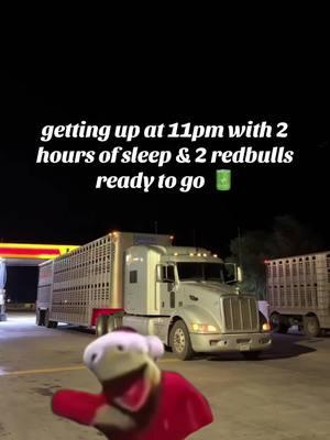 the best 🔋🔋 #bullhauler #livestock #nosleep #cattle #peterbilt386 #peterbilt #cattlehauler #Meme #MemeCut #memenatal #feliznavidad 