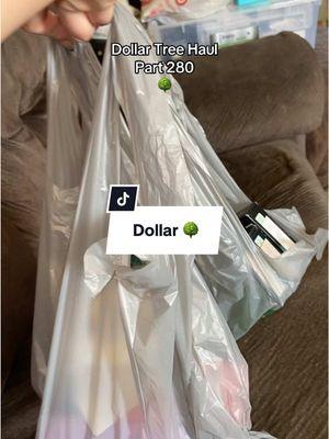 @Dollar Tree  #dollartree #dollartreediy #dollartreefinds #dollartreehacks #dollartreehaul #dollartreediyprojects #haul #unboxing #dollar25 #dollar25tree #dollartwentyfivetree #dollartwentyfive 