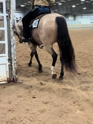 WINNER!!! Great job Gwyn!  Qualified to the 2025 AQHYA Workd Show in Ranch Ruding Youth L1, w placings 1st, 2nd & 2nd out of I believe 12!  Thank you Jesse Cory, Farrier & Team!   #shiningspark #sparkofpatron #youthchampion #ranchhorse #ranchtrail #farrier 