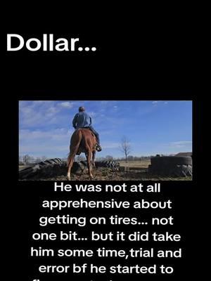 Dollar... ride 7 #fyp #foryou #trending #horse #cowboyshit #horseticktok #cowgirlsoftiktok⚡️ #mulesoftiktok #cowboyshit #horses #arkansas #viral 