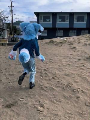 Buggin the Seagulls  . . . . #anzuking #furry #furries #furryfandom #furrycommunity #furrytiktok #furriesoftiktok #fursuit #fursuiting #fursuitpartial #publicfursuiting #fursuitersoftiktok #furryfyp #fyp 