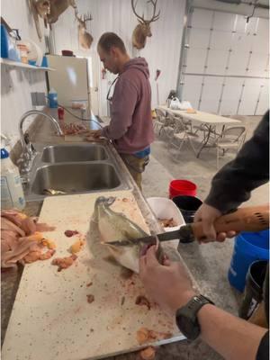 Is this how you clean a walleye? #stringers #guidelife #northDakota #outdoor #guidelife #fun #video #fypシ゚viral 