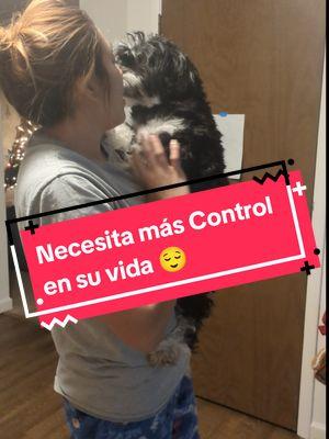 #grupocontrol #taotao #perrhijos #dogs #dogsoftiktok 