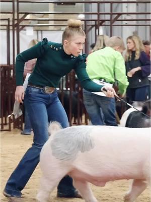 Karis and Johnny Ringo at @AZ National Livestock Show #showpigs #pigs 