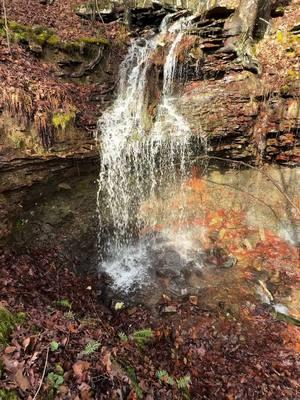 Yell County water #fyp #outdoorlife #hikertok #hikingadventures #arkansas #explorearkansas #followme #waterfall 