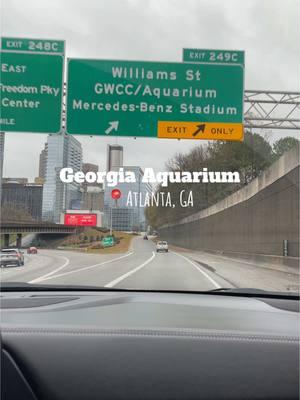 The Georgia Aquarium is the largest Aquarium in the US with over 500 species of animals!!! 🤯 The sharks & sea otters were my favorite to see! 🦈 It’s definitely worth a visit! 📍 Atlanta, Ga  #georgiaaquarium #georgia #atlanta #atlantageorgia #aquarium #thingstodoinatlanta #atl #placestovisitinatlanta #atlthingstodo #whattodoinatlanta #thingstodoingeorgia 