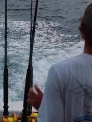 Sails Up #costarica #quepos #sailfish #billfishing #photography #videography 