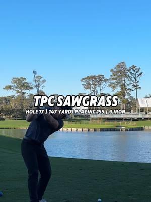 147 yards playing 155 into the wind..what you hitting? #golf #tpcsawgrass @Pins & Aces 