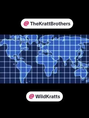 its my dream for them to comment on vid 🥺 #CapCut #clip #video #viral #fyp #edit #POV #pov #wild #wildkratts #krattbrothers #animals #childhood #show #childhoodshows #memories #editsthatgohard #chris #chriskratt #martin #marrinkratt #blowthisupforme @D.O.A122 @I AM HIM 🔥 @Creamsicle @Jonathan🪐 @D1Isaac 