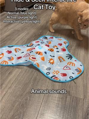 #cattoy #interactive #catsoftiktok #tiktokcats #catsforlife #toysforcats #hideandseek #meow 