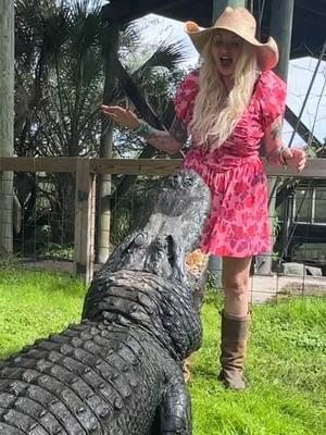 Jaws the alligator is the most fun!  @gatorland_orlando #alligator #alligators #alligatorsoftiktok 