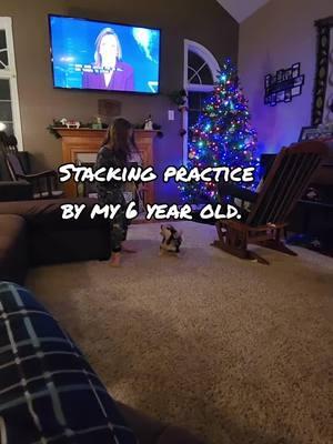 for fun Stacking practice for Sky by my 6 year old. #dogshows #adoptandshopresponsibly #showgrooming #ethicalbreedingmatters #standarddachshundsoftiktok 