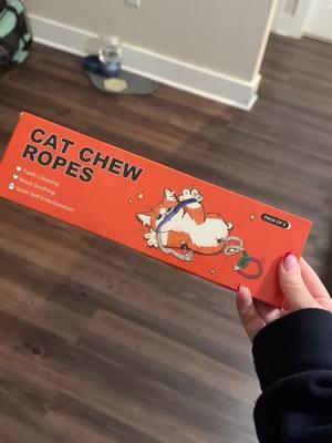 Honestly unexpected but the best!!🐱 #fyp #fypシ #foryou #foryoupage #kitten #kittensoftiktok #kittens #kittentok #catlover #kitty #cat #catsoftiktok #cattoy #cattoys #cattoyreview 