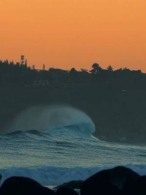 Dreams in Kauai #fyp #videography #kauai 