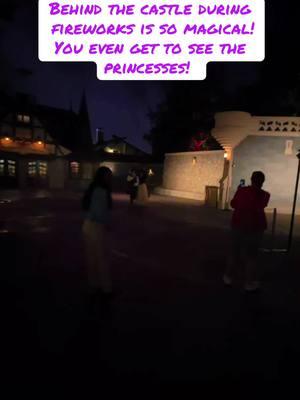 #disney #disneyworld #animalkingdom #magickingdom #hollywoodstudios #epcot #disneyparks #disneytips #disneycontent #disneycontentcreator #distok #disneymom #awishisadream #disneymyway #disneyvacation #DisneyMagic #MagicalMemories #DisneyAdventures #DreamsComeTrue #HappiestPlaceOnEarth #MagicKingdom #DisneyMagicMoments #DisneyFamilyFun #DisneyWorldWonders #EpcotExplorers #MagicOfDisney 