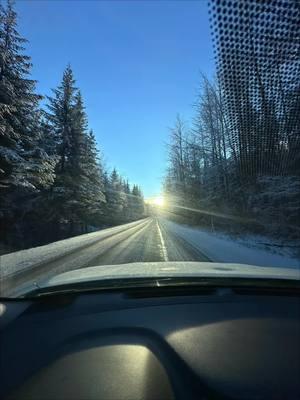 Sunday drive home #alaskawildlife #beauitfulday #fyp #ak907 #livingmybestlife #greatview 