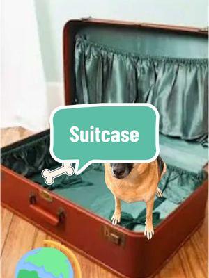 I like my suitcase! #suitcase #trump #frida #fridarita 