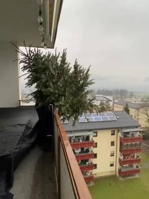 Life Hack Getting Rid Of Christmas Tree 🎄 #christmastree #tree #removal #lifehacks #LifeHack #fyp  