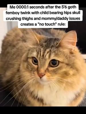 he's so sweet 😍 #cat #cats #kitten #goth #cute #femboy #femboyfriday #femboyhooters #femboytiktok #femboyz #femboysupremacy #femboythighs #femboyfridayeveryday #femboysarevalid #femboyeveryday ##cutie #trans #enby 