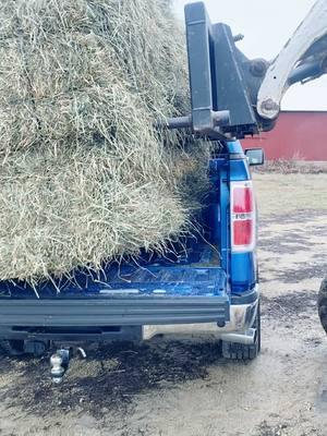 I like it. #hay #horsehay #hayisforhorses #haybales #haybundles #balebundle #loadinghay #haysales #hayfarmer #hayproducer #farmtok #farmlife #haytok #haylife #ag #agtok #aglife #skidsteer #bobcatequipment #bobcatskidsteer 